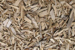 biomass boilers Kenfig